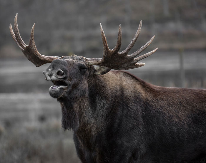 “What’s An Unwritten Rule In Your Country That Tourists Always Seem To Break?” (30 Answers)