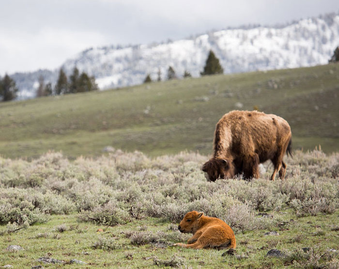 “What’s An Unwritten Rule In Your Country That Tourists Always Seem To Break?” (30 Answers)