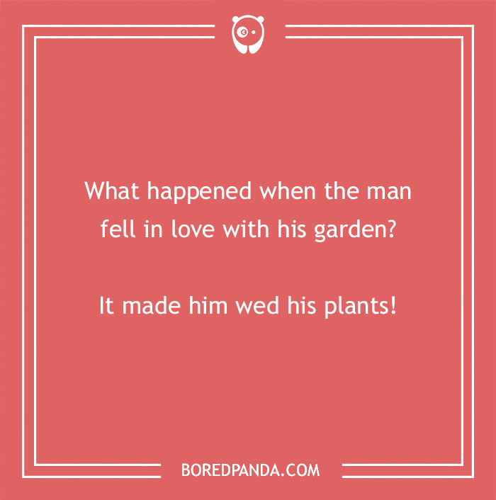 100 Funny Valentine’s Day Jokes To Amuse Your Crush