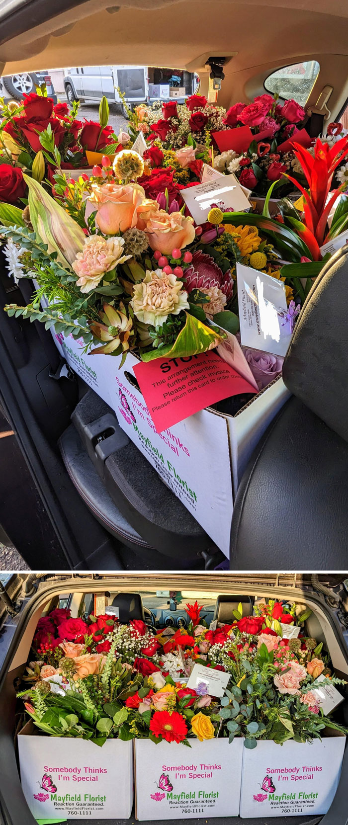 For Valentine's Day, My Girlfriend And I Delivered 36 Flower Arrangements