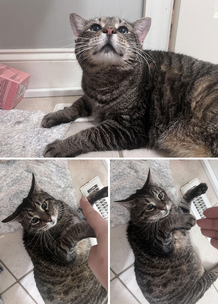 If You Don’t Have A Valentine Today, Dwight Is Your Valentine