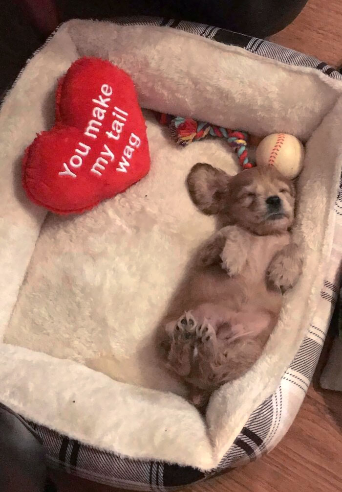 My Valentine's Present This Year From My Boyfriend Is Too Adorable Not To Share 