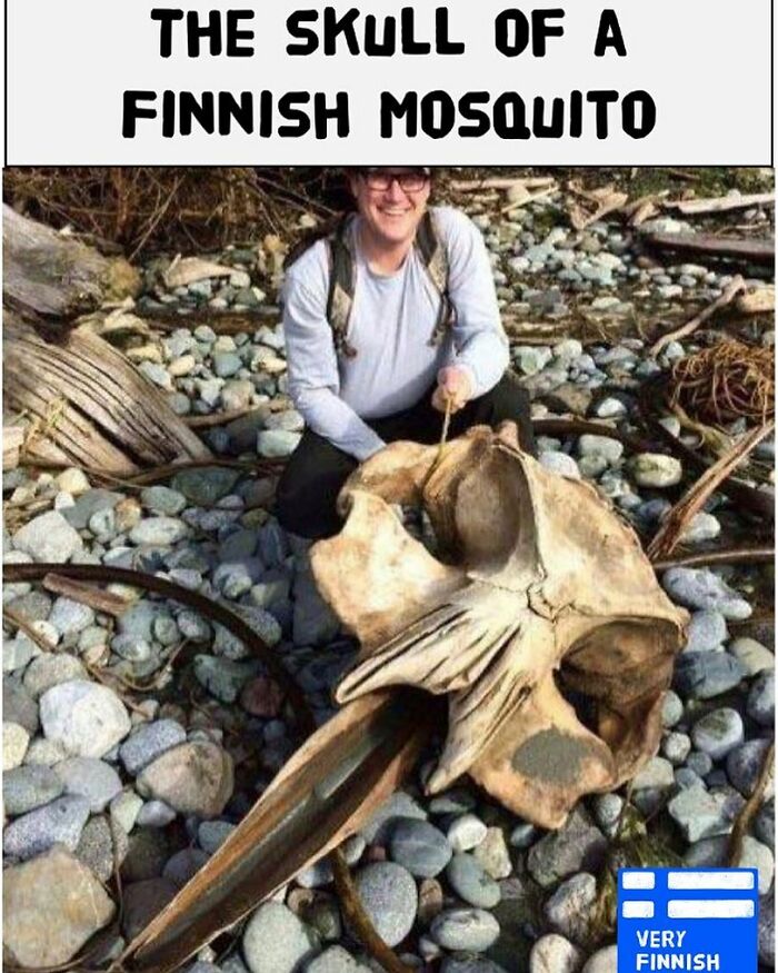 You’re Going To Need A Bigger Swatter 😀