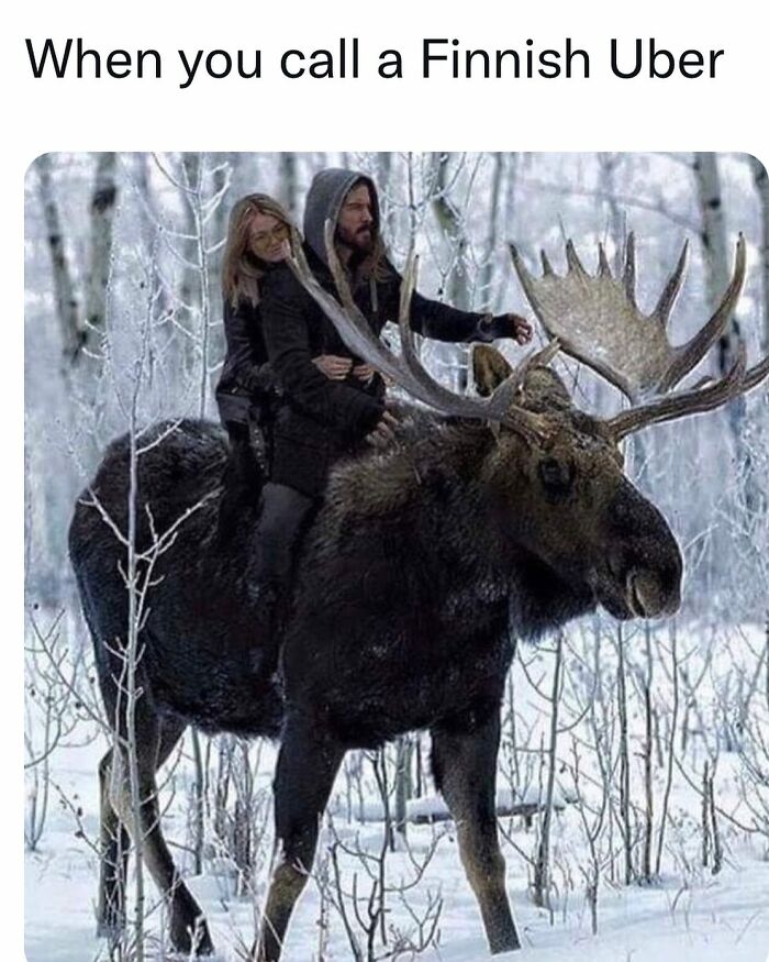 Would You Ride This? 😀🦌