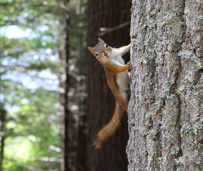 28 People Who Witnessed Wedding Objections Share What Happened