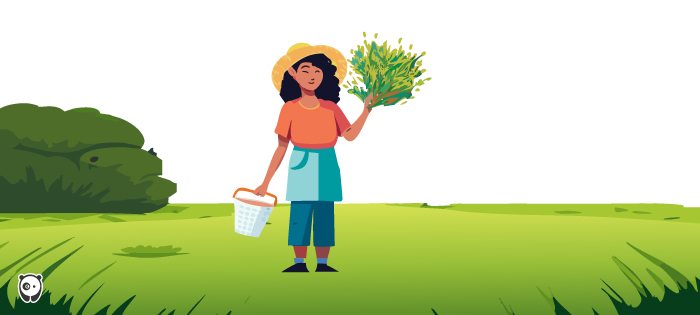 Woman holding common garden weeds in her hands, standing in a green outdoor setting, illustrating weed control methods.