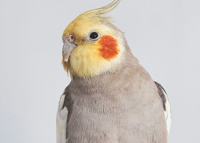 People Are Sharing The Weirdest Things They've Seen At A Friend's House (30 Answers)