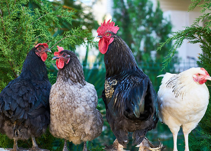 People Are Sharing The Weirdest Things They've Seen At A Friend's House (30 Answers)