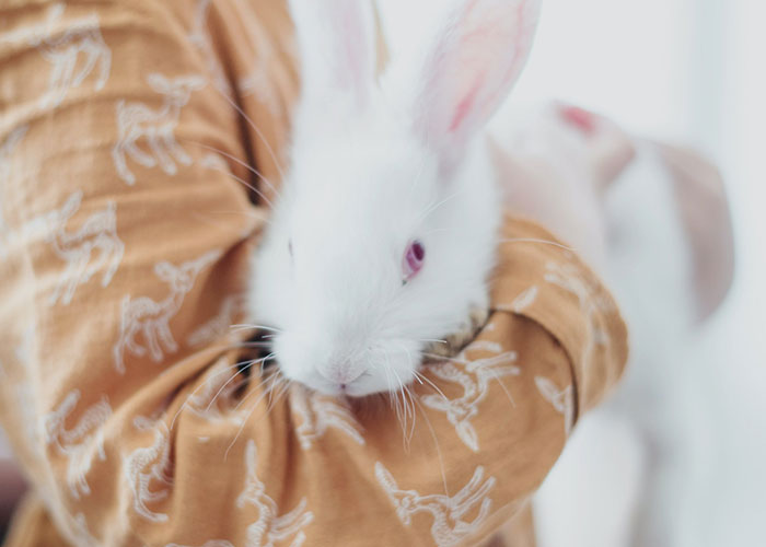 People Are Sharing The Weirdest Things They've Seen At A Friend's House (30 Answers)