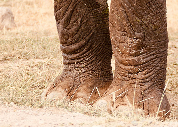 People Are Sharing The Weirdest Things They've Seen At A Friend's House (30 Answers)