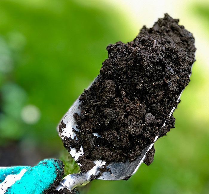 A Person Holding a Trowel with Soil A Person Holding a Trowel with Soil