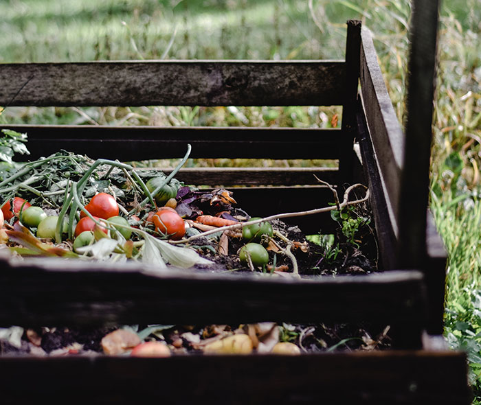 Vegetables on the Soil in a box Vegetables on the Soil in a box