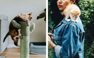 Why Does My Cat Like to Walk and Climb Me Like a Tree?