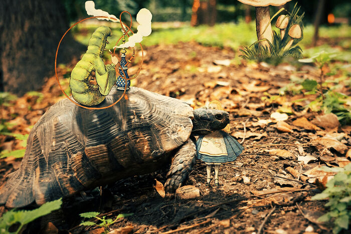 Advice From A Caterpillar