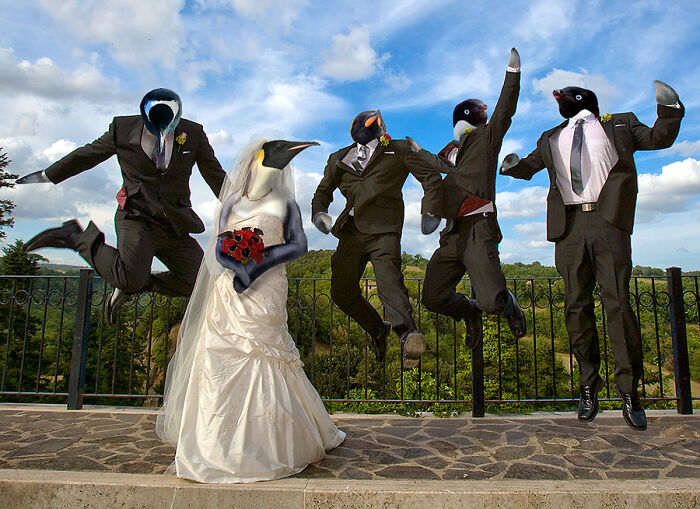 These Designers Were Challenged To Use Photoshop To Dress Animals (30 Pics)