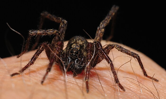 29 Things People Considered To Be Their Hill To Die On But Later Changed Sides Drastically