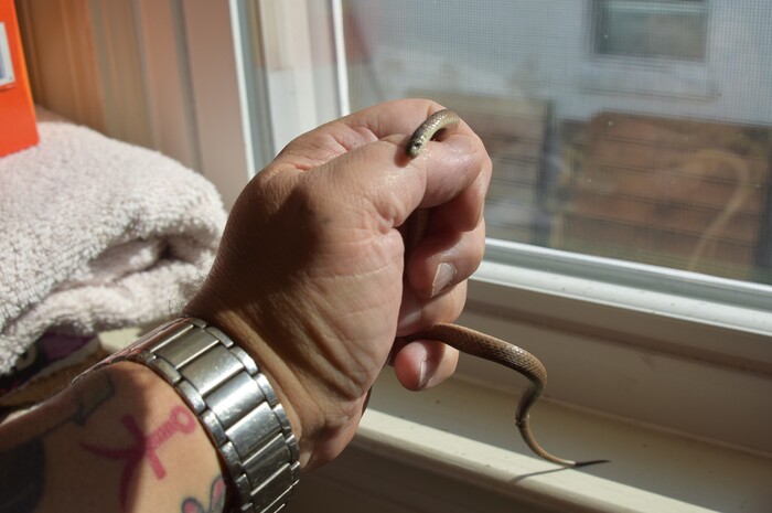 29 Things People Considered To Be Their Hill To Die On But Later Changed Sides Drastically