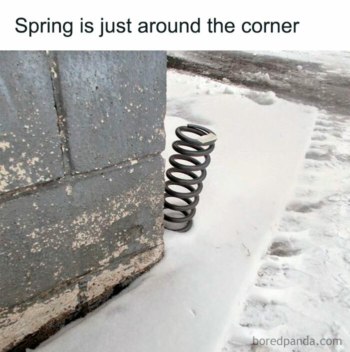 When You Can’t Wait Any Longer 🌻