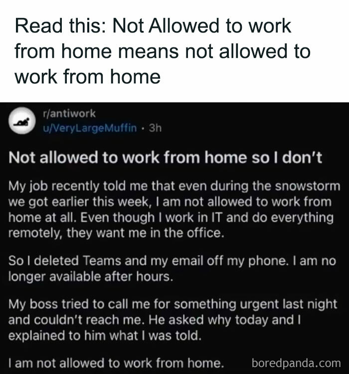 Screenshot of a work from home ban story highlighting hustle culture's impact on employees losing touch with reality.