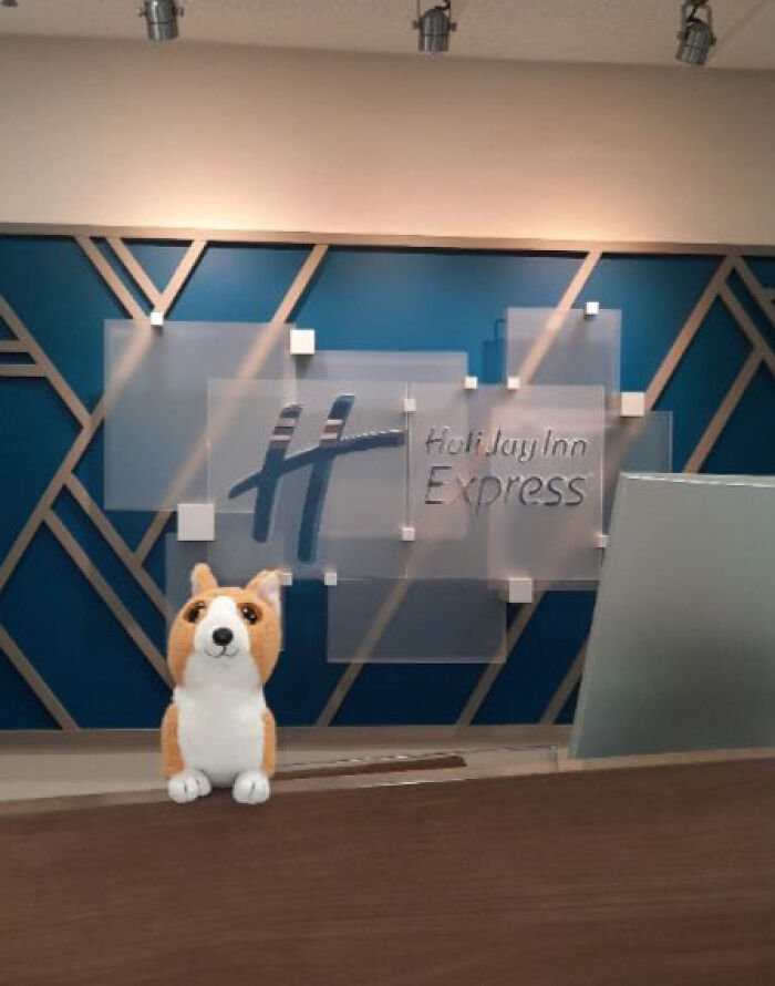 Family Was Distressed After Son’s Toy Was Left Behind Until Hotel Staff Saved The Day Family Was Distressed After Son’s Toy Was Left Behind Until Hotel Staff Saved The Day