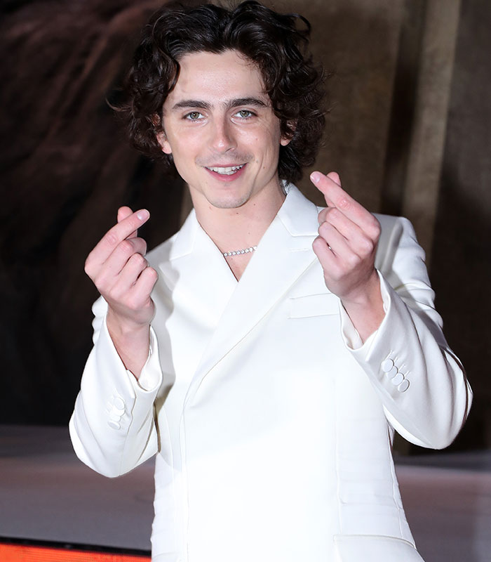 People Confused By Zendaya And Timoth&eacute;e Chalamet&rsquo;s Poses During The Dune Premiere In Seoul