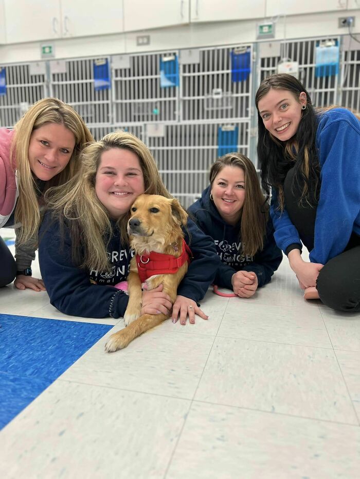 Saved After 8 Days In A Shipping Container, Connie The Dog Is Revealed To Be Expecting Saved After 8 Days In A Shipping Container, Connie The Dog Is Revealed To Be Expecting