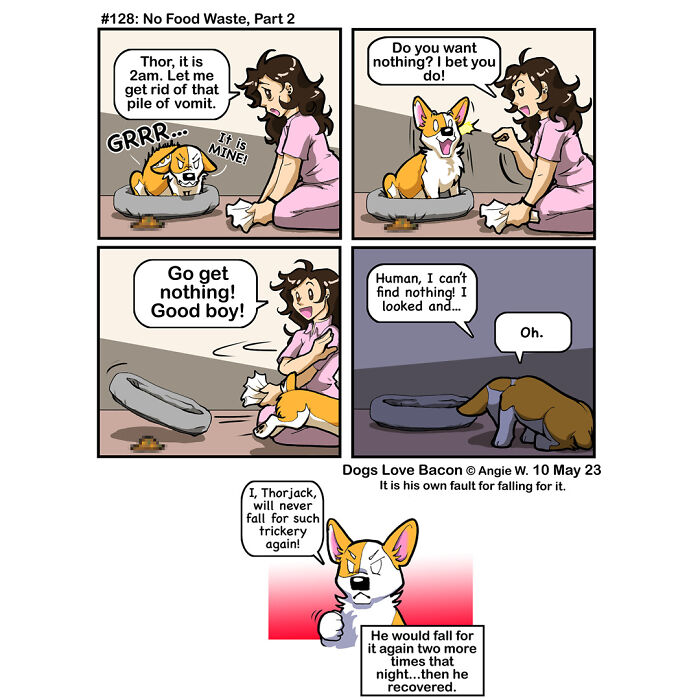 Comic showing the funny reality of being a dog owner with a dog refusing food and a humorous interaction.