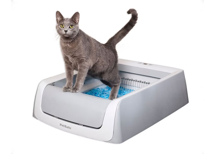 PetSafe ScoopFree Complete Plus Self-Cleaning Litter Box