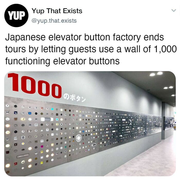 🙂 This Makes Me Smile For Some Reason