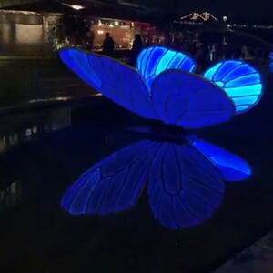 dawnbradman_1 avatar