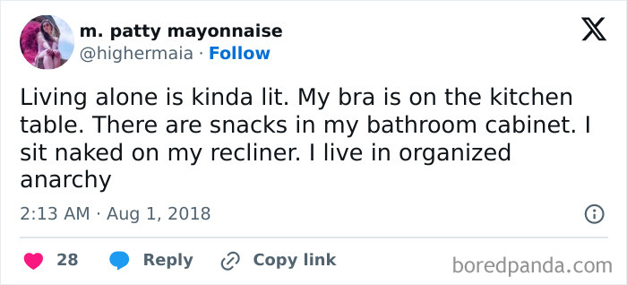 Living-Alone-Funny-Tweets