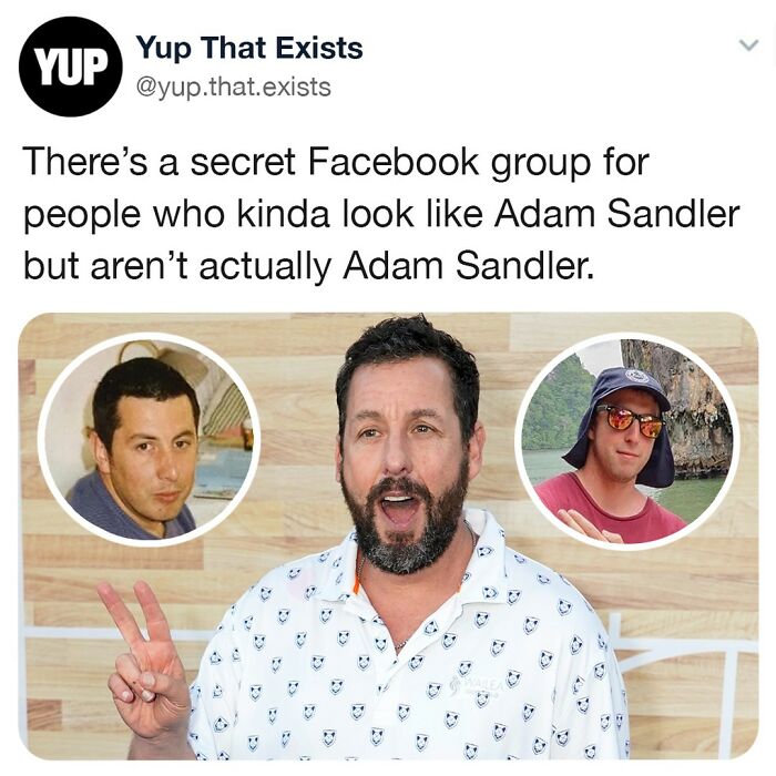 The American Dad Face