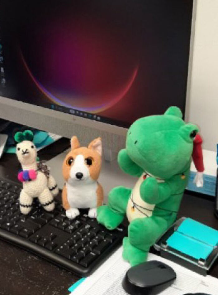 Family Was Distressed After Son’s Toy Was Left Behind Until Hotel Staff Saved The Day Family Was Distressed After Son’s Toy Was Left Behind Until Hotel Staff Saved The Day