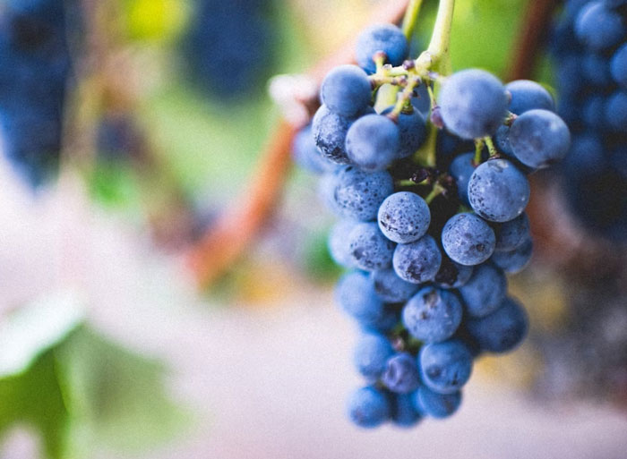 20 Alimentos muy comunes que pueden acabar contigo si abusas de ellos