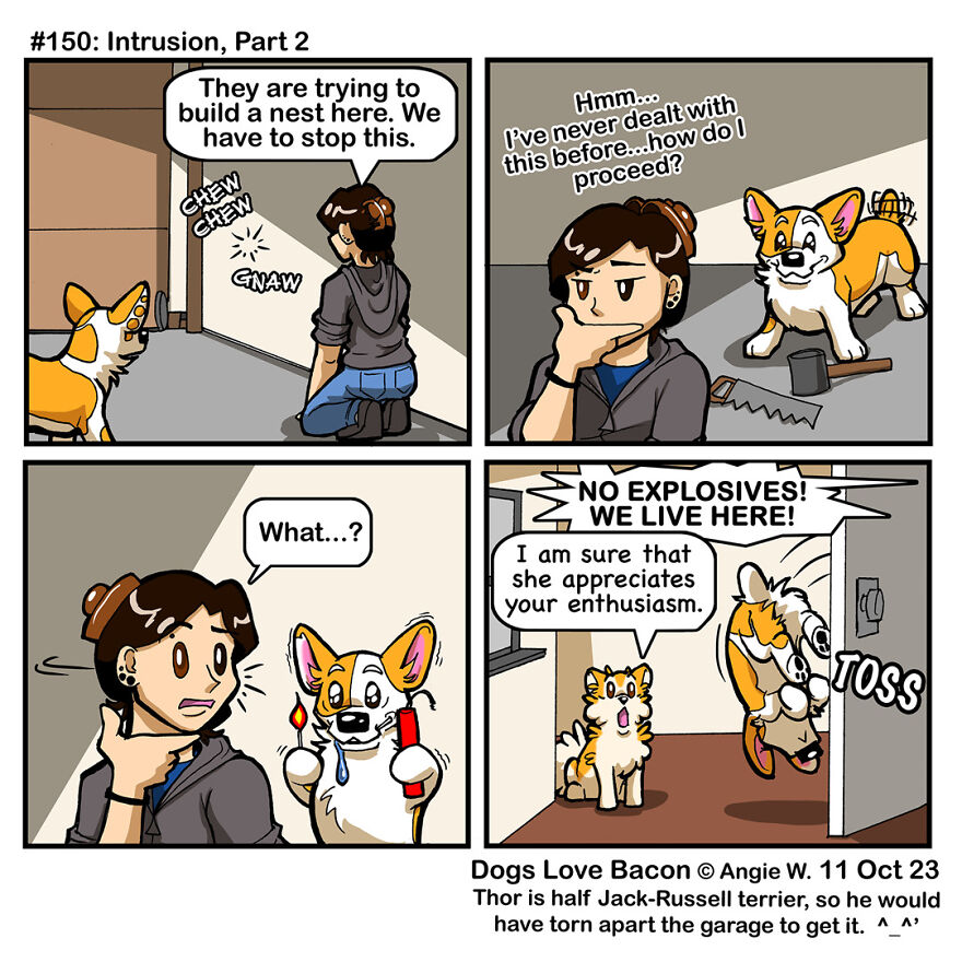 I Draw Comics About The Lives Of Four Rescue Dogs!