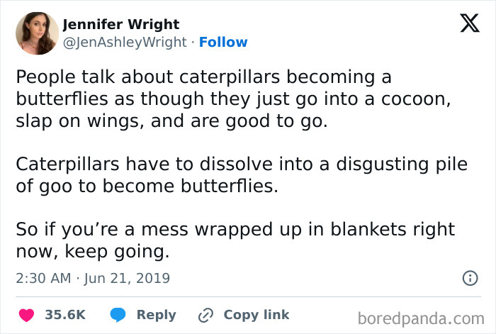 Tweet about caterpillars becoming butterflies, encouraging those feeling low to keep going, shared on social media meme post.