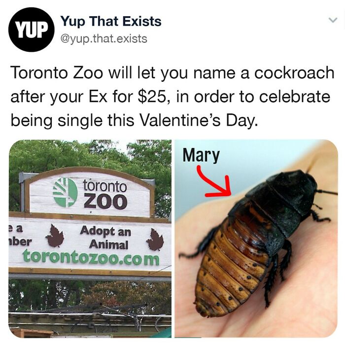 Thats A Really Cute Way To Donate To A Zoo 😚