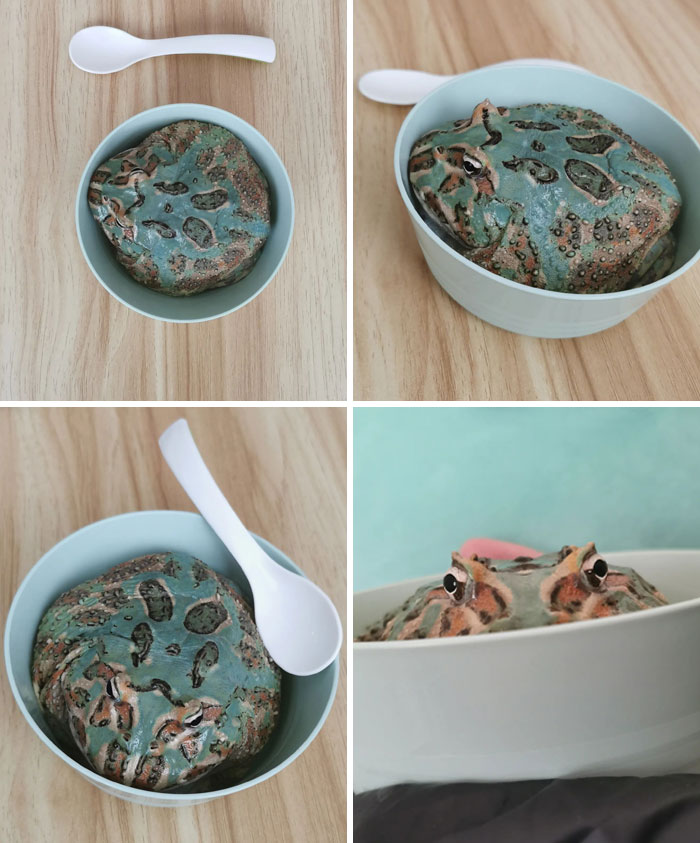 Mint Chocolate Chip Ice Cream