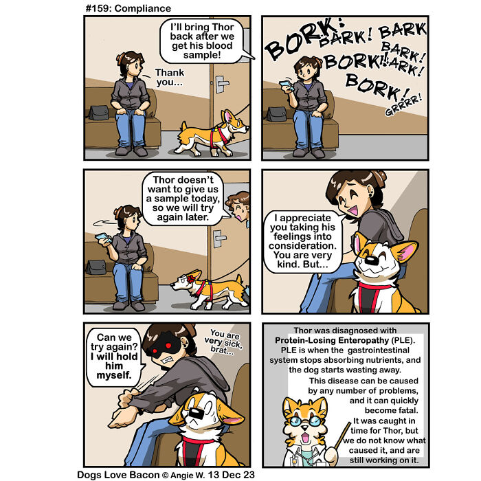 Comic strip showing the funny reality of being a dog owner with a woman and her barking dog at the vet’s office.
