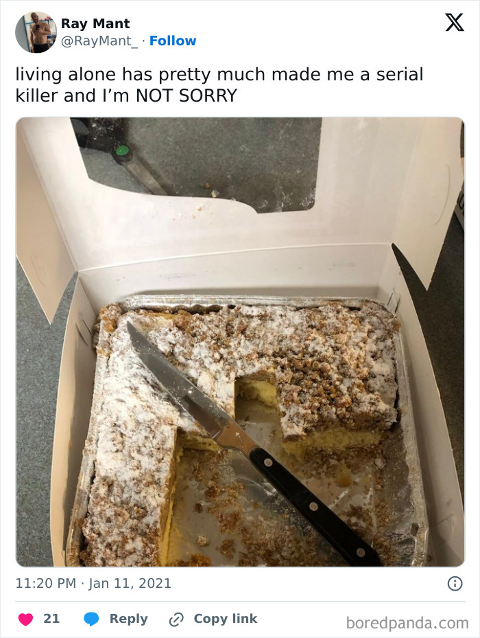 Living-Alone-Funny-Tweets