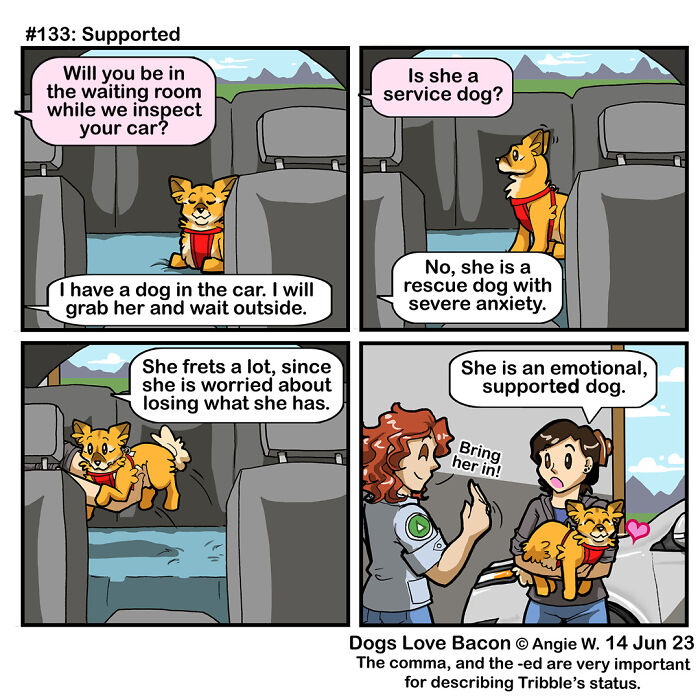 Comic about the funny reality of being a dog owner showing a rescue dog with anxiety as an emotional supported dog in a car.