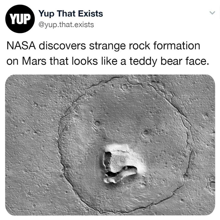 Yea Tee Grizzley Was There😮‍💨