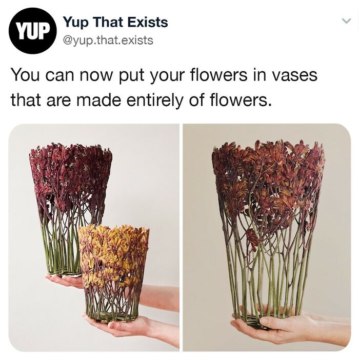 Water: “Allow Me To Introduce Myself”