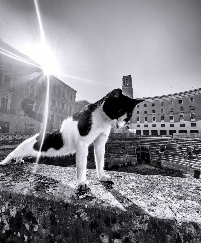 The 57 Best Black And White Photos According To The Street Photographers Foundation Awards