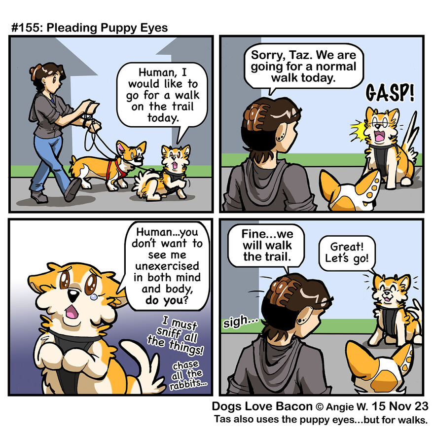 I Draw Comics About The Lives Of Four Rescue Dogs!
