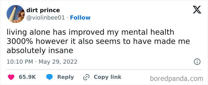 Living-Alone-Funny-Tweets