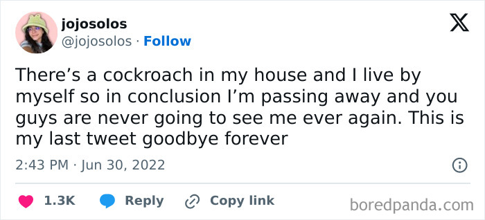 Living-Alone-Funny-Tweets