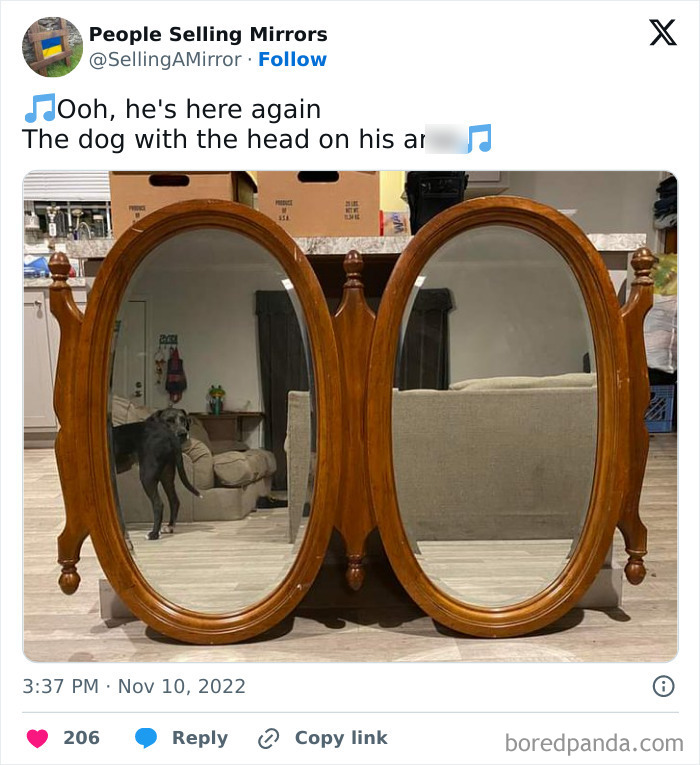 People-Selling-Mirrors-Funny-Pics