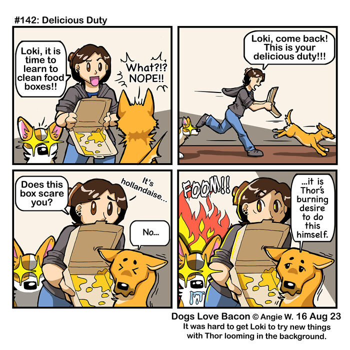 Comic showing the funny reality of being a dog owner with playful dogs and a pizza box cleaning struggle.