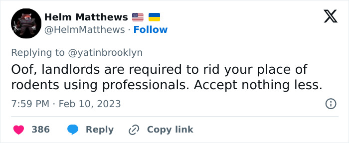 Woman Shares A Hilarious Conversation Between Her And Her Landlord Who Hired A Cat As Pest Control